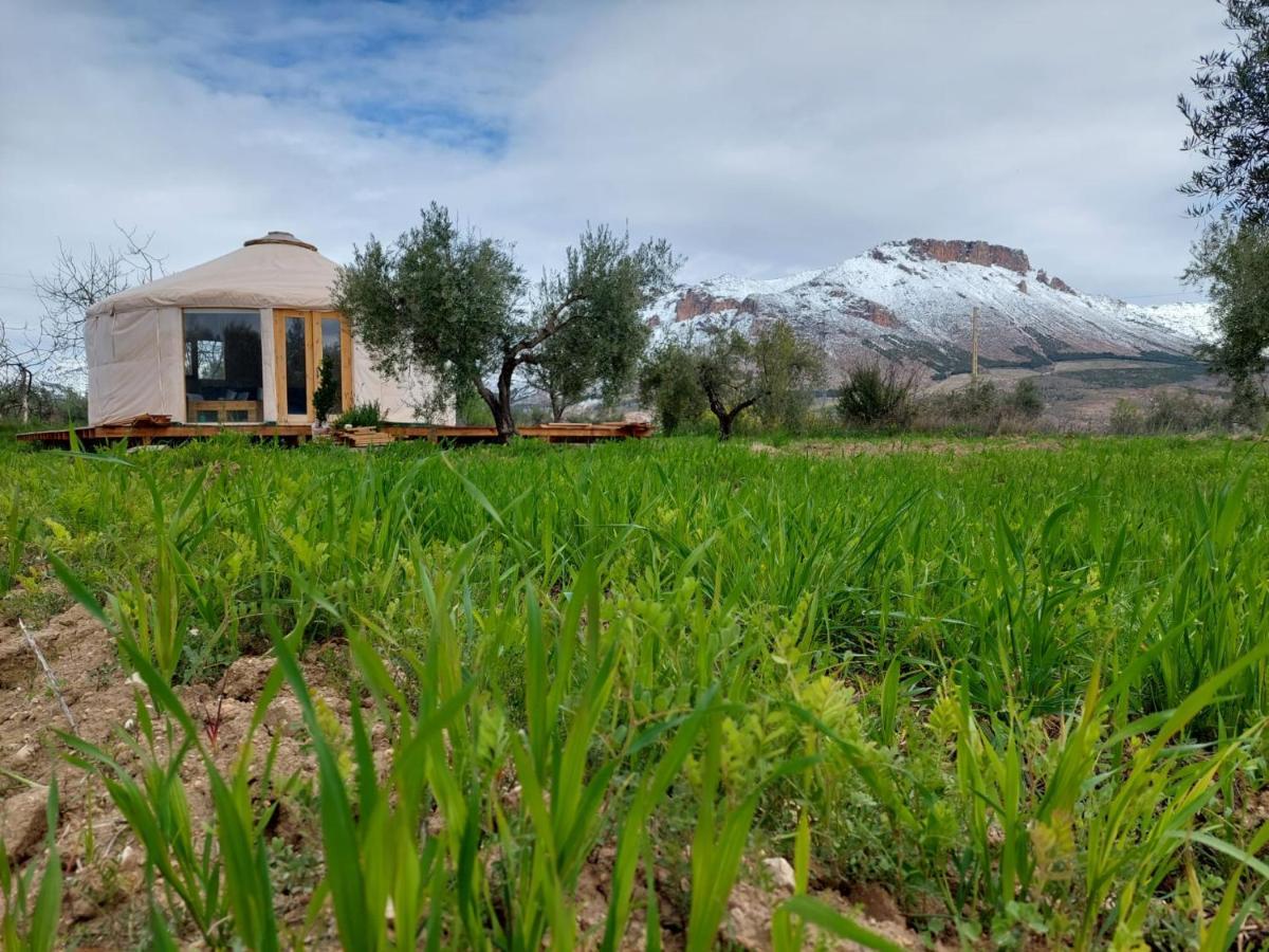 El Atico De La Casa Viva Daire Vélez Blanco Dış mekan fotoğraf